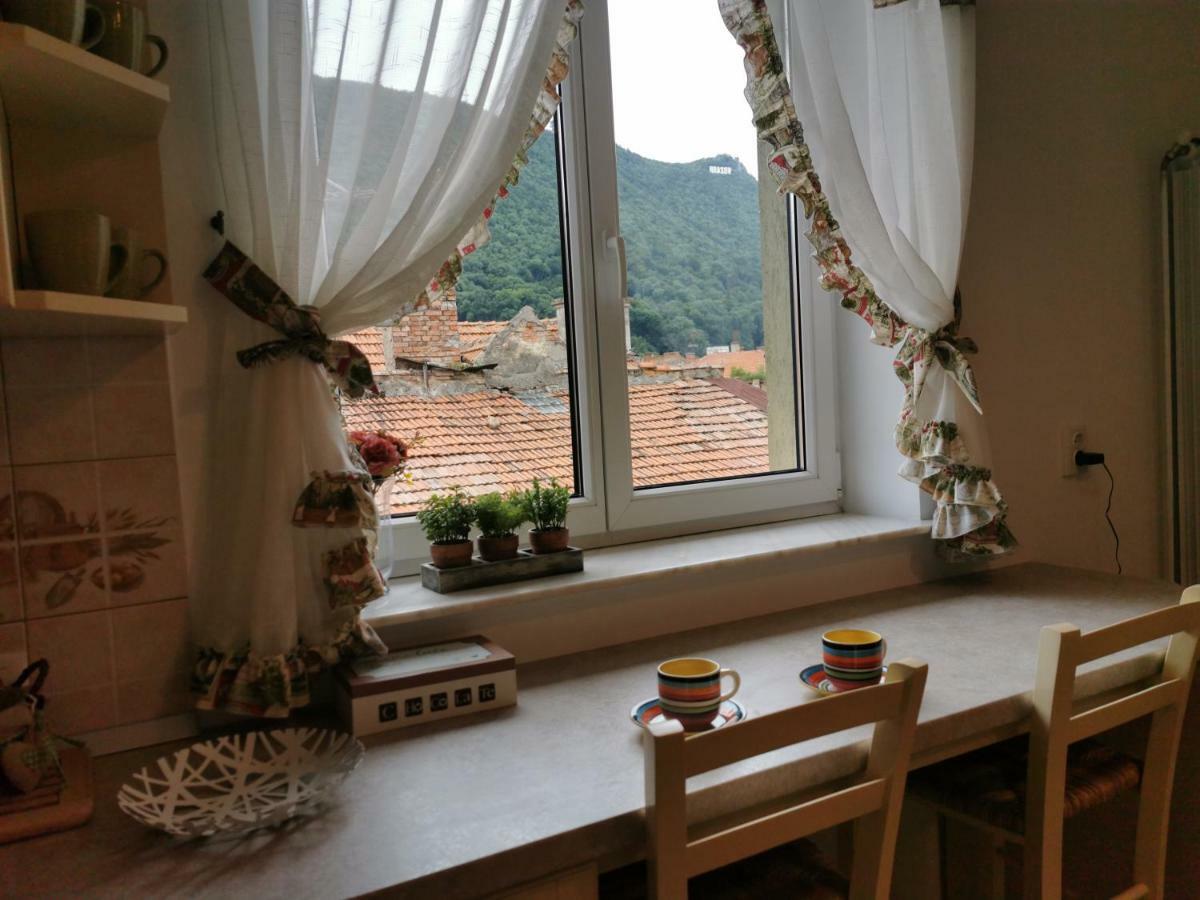 Apartament Transylvania Confort *